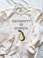 Load image into Gallery viewer, University of Genovia Crewneck Sweater or Hoodie