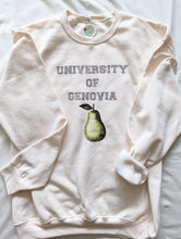 Load image into Gallery viewer, University of Genovia Crewneck Sweater or Hoodie