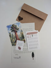 Load image into Gallery viewer, Evergreen Envelope - Monthly Mail Club