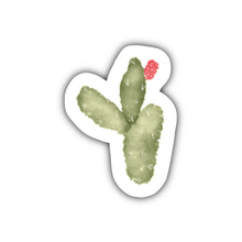 Load image into Gallery viewer, Watercolor Cactus Sticker