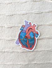 Load image into Gallery viewer, Labeled Heart Sticker