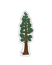 Load image into Gallery viewer, Sequoia Tree Sticker