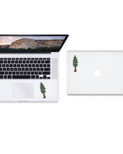 Load image into Gallery viewer, Sequoia Tree Sticker