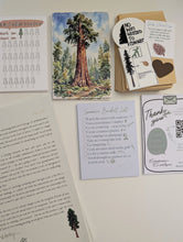 Load image into Gallery viewer, Evergreen Envelope - Monthly Mail Club

