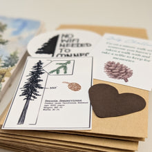 Load image into Gallery viewer, Evergreen Envelope - July 2026
